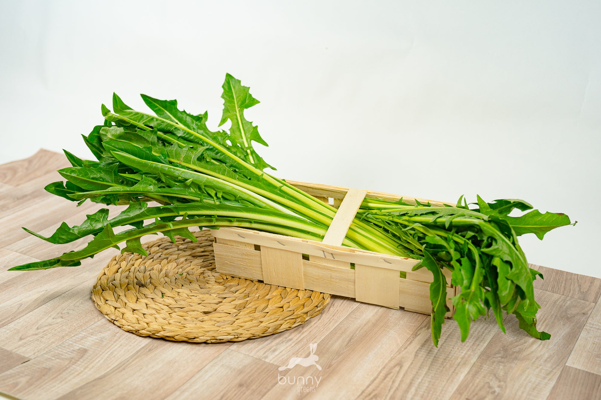 Löwenzahnsalat / Catalogna – Bunny Greens