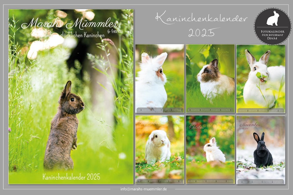 Kaninchen A4 Kalender 2025