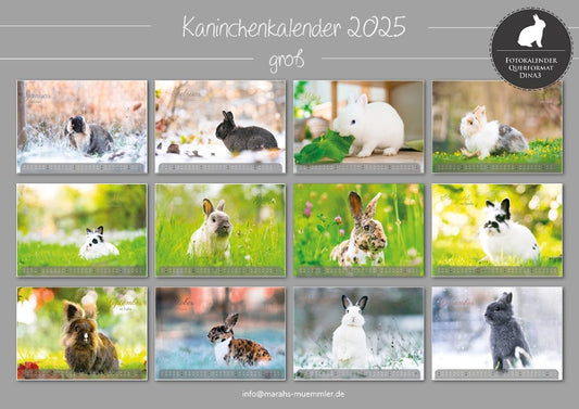 Kaninchen A3 Kalender 2025