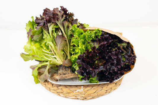 Wurzelsalate