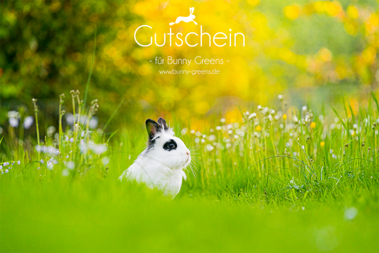Bunny Greens Gutschein