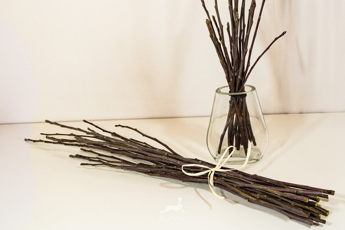 Zweige frisch – Bunny Greens
