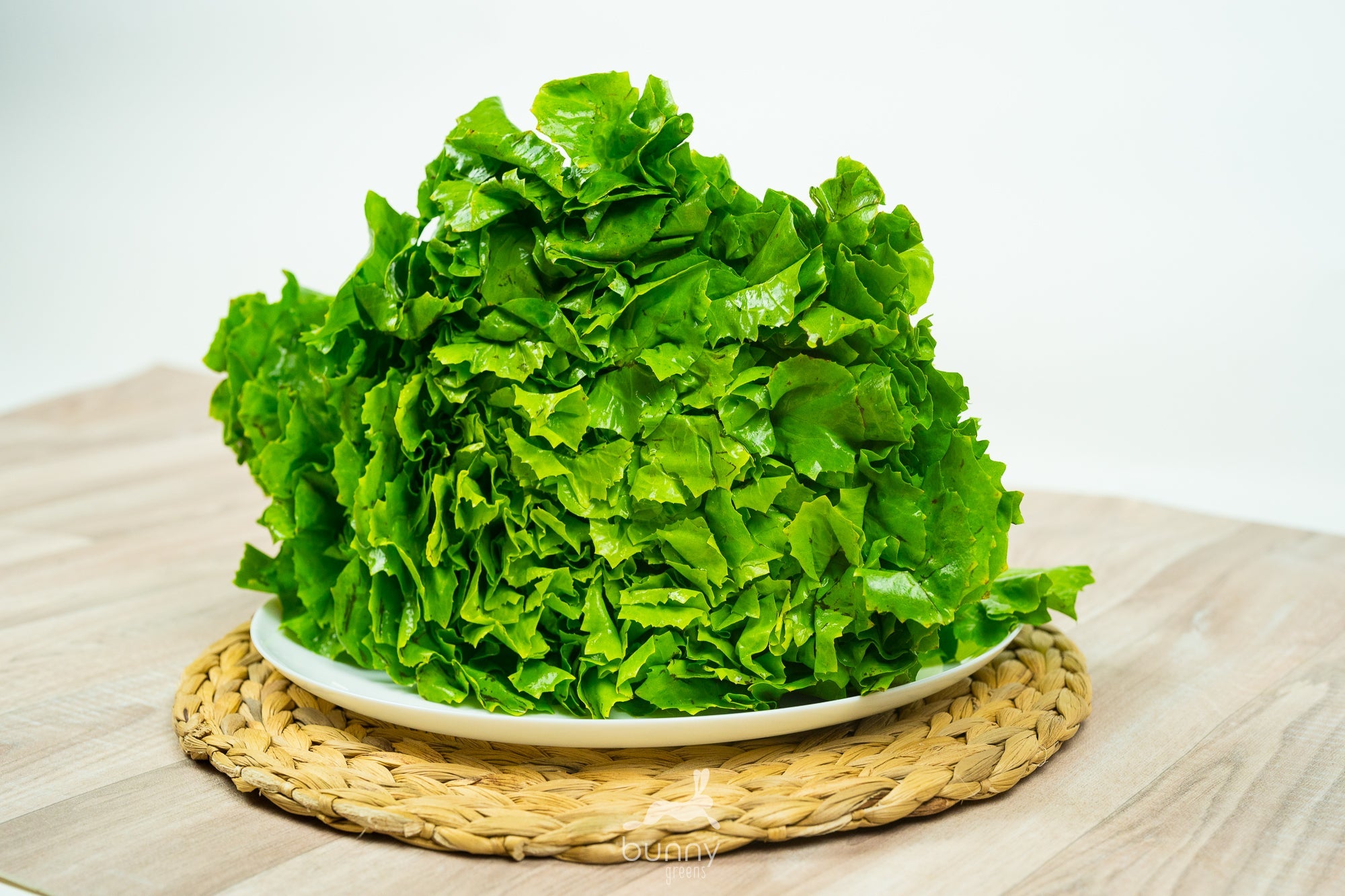 Endiviensalat – Bunny Greens Endiviensalat – Bunny Greens