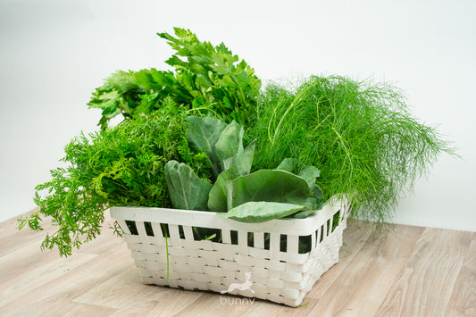 Greenbox Gemüsegrün