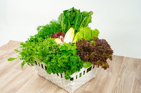 Greenbox - Salate und Kräuter
