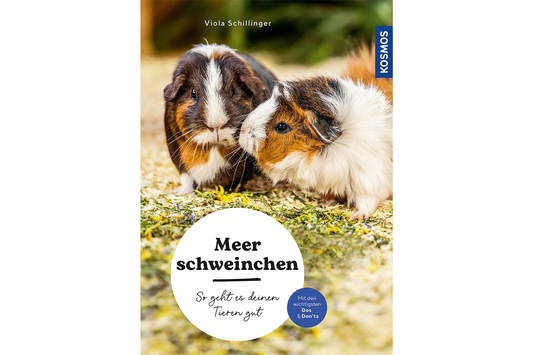 Buchcover "Meerschweinchen" von Viola Schillinger