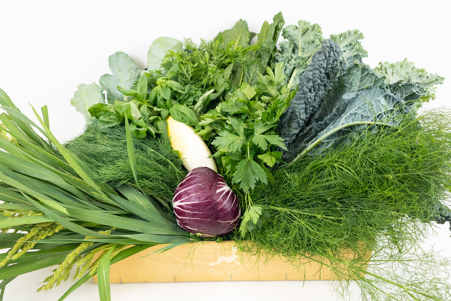 Foto einer beispielhaften Zusammenstellung der Greenbox - Sorgendkind mit Kohl von Bunny Greens.
