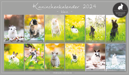 Kaninchen A4 Kalender 2024